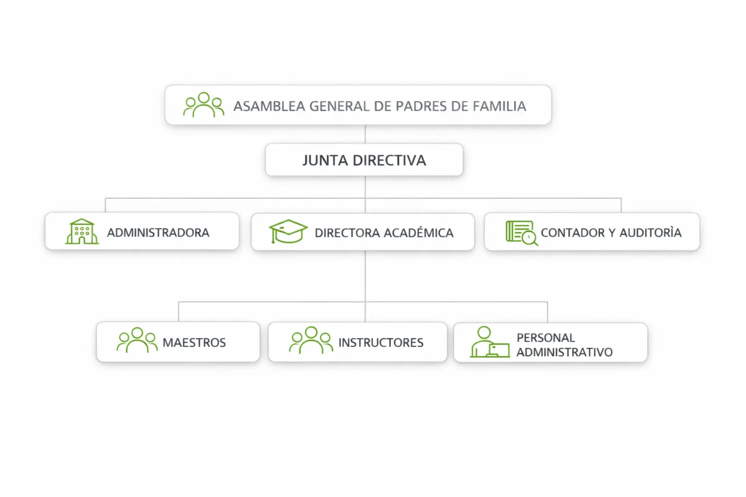 Estructura Organizativa